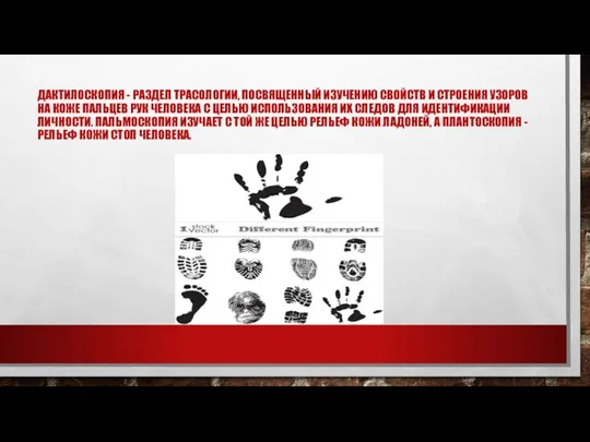 ДАКТИЛОСКОПИЯ - РАЗДЕЛ ТРАСОЛОГИИ, ПОСВЯЩЕННЫЙ ИЗУЧЕНИЮ СВОЙСТВ И СТРОЕНИЯ УЗОРОВ НА