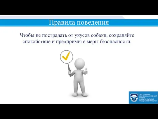 Правила поведения Чтобы не пострадать от укусов собаки, сохраняйте спокойствие и предпримите меры безопасности.