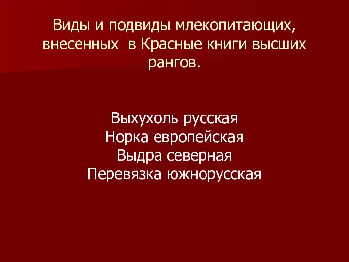 Виды и подвиды млекопитающих, внесенных в Красные книги высших рангов. Выхухоль