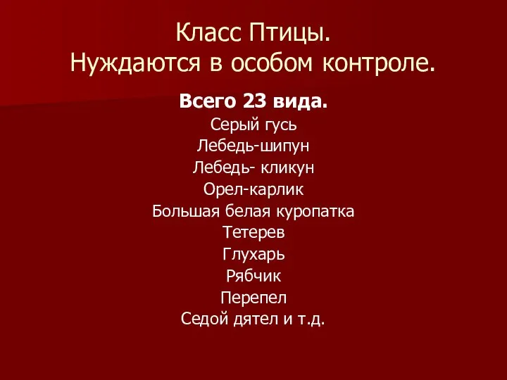 Класс Птицы. Нуждаются в особом контроле. Всего 23 вида. Серый гусь