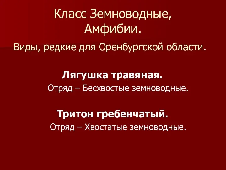 Класс Земноводные, Амфибии. Виды, редкие для Оренбургской области. Лягушка травяная. Отряд