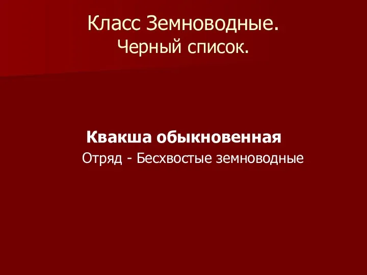 Класс Земноводные. Черный список. Квакша обыкновенная Отряд - Бесхвостые земноводные