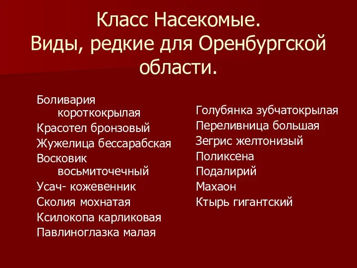 Класс Насекомые. Виды, редкие для Оренбургской области. Боливария короткокрылая Красотел бронзовый