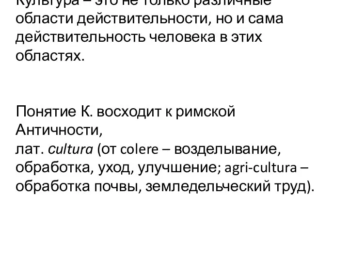 Культура – это не только различные области действительности, но и сама