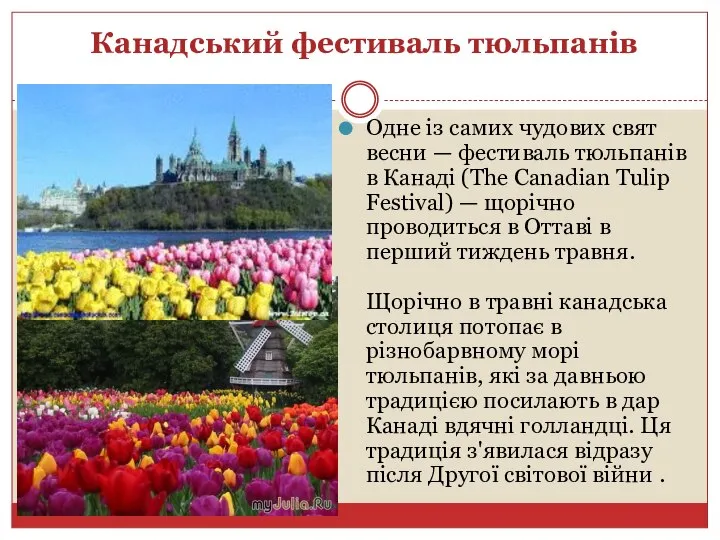 Канадський фестиваль тюльпанів Одне із самих чудових свят весни — фестиваль