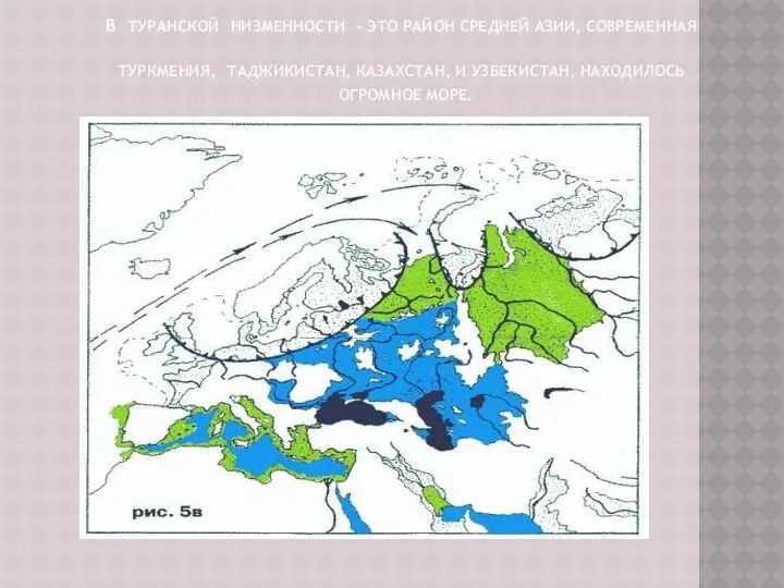 В ТУРАНСКОЙ НИЗМЕННОСТИ - ЭТО РАЙОН СРЕДНЕЙ АЗИИ, СОВРЕМЕННАЯ ТУРКМЕНИЯ, ТАДЖИКИСТАН,