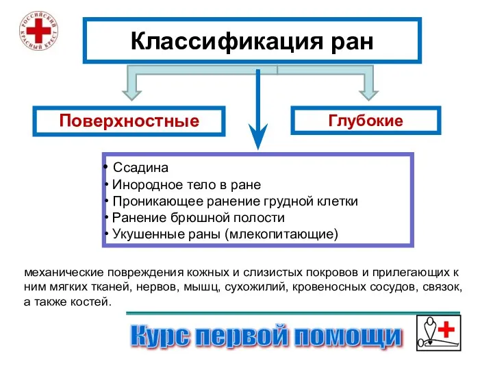 Классификация ран Курс первой помощи Поверхностные Ссадина Инородное тело в ране