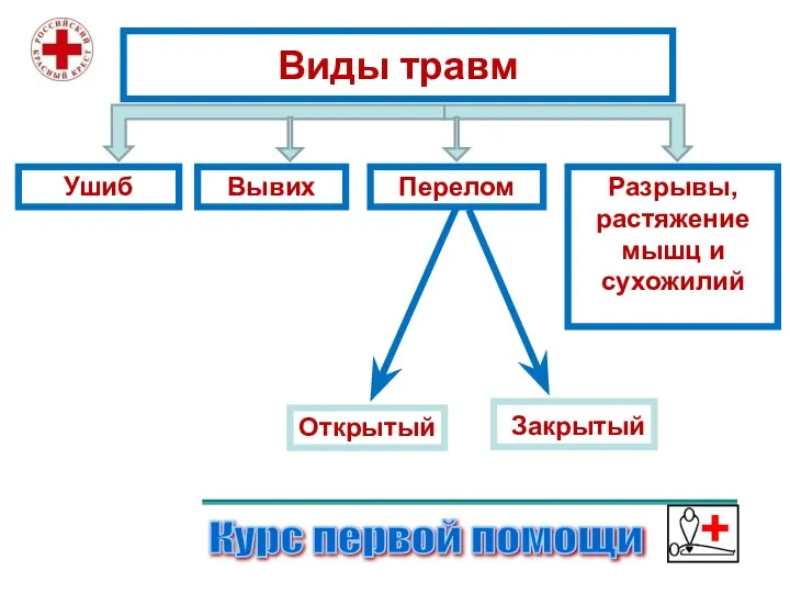 Виды травм Курс первой помощи Ушиб Вывих Перелом Открытый Закрытый Разрывы, растяжение мышц и сухожилий