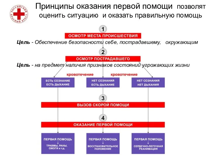 Принципы оказания первой помощи позволят оценить ситуацию и оказать правильную помощь