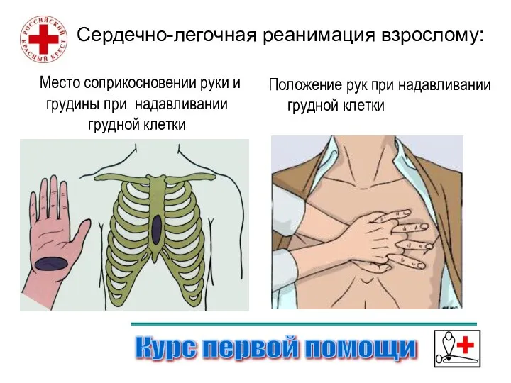 Курс первой помощи Сердечно-легочная реанимация взрослому: Место соприкосновении руки и грудины