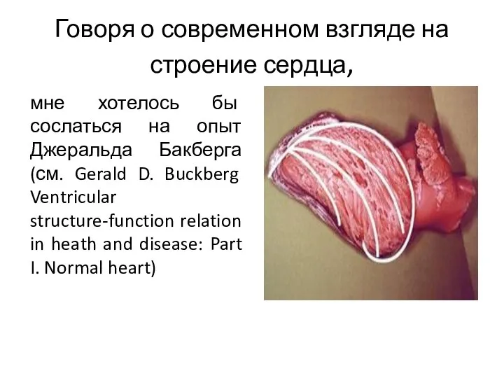 Говоря о современном взгляде на строение сердца, мне хотелось бы сослаться