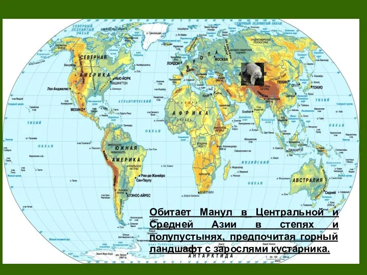 Обитает Манул в Центральной и Средней Азии в степях и полупустынях,