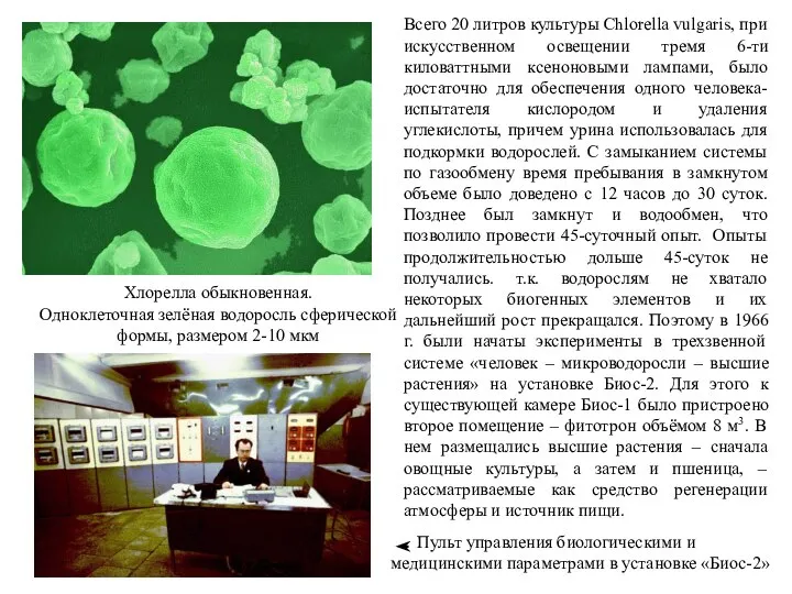 Всего 20 литров культуры Chlorella vulgaris, при искусственном освещении тремя 6-ти