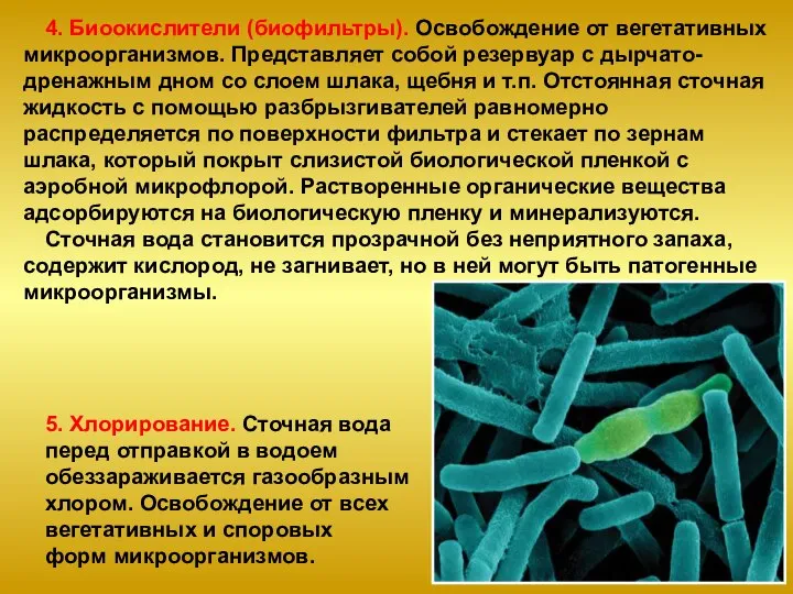 4. Биоокислители (биофильтры). Освобождение от вегетативных микроорганизмов. Представляет собой резервуар с