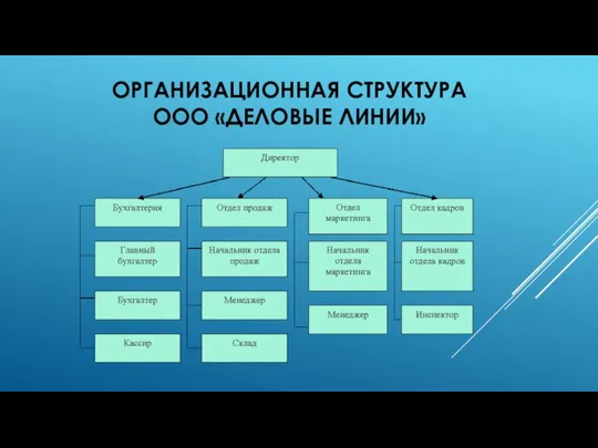 ОРГАНИЗАЦИОННАЯ СТРУКТУРА ООО «ДЕЛОВЫЕ ЛИНИИ»