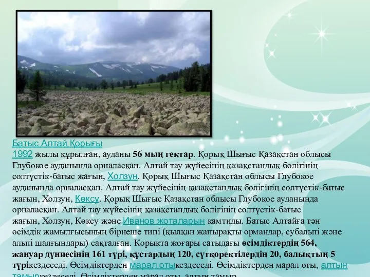 Батыс Алтай Қорығы 1992 жылы құрылған, ауданы 56 мың гектар. Қорық