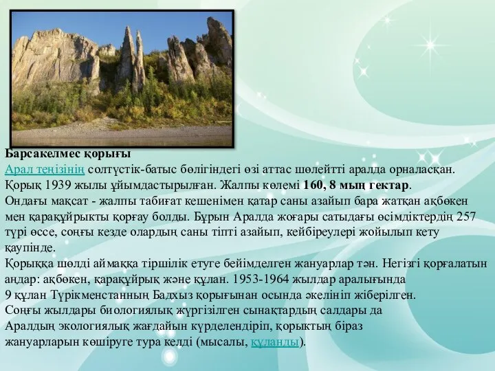 Барсакелмес қорығы Арал теңізінің солтүстік-батыс бөлігіндегі өзі аттас шөлейтті аралда орналасқан.