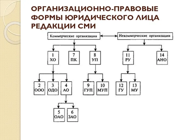 ОРГАНИЗАЦИОННО-ПРАВОВЫЕ ФОРМЫ ЮРИДИЧЕСКОГО ЛИЦА РЕДАКЦИИ СМИ