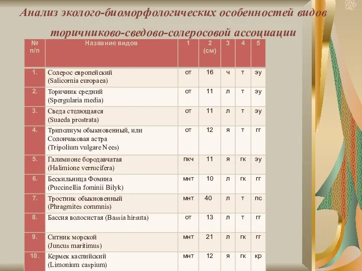 Анализ эколого-биоморфологических особенностей видов торичниково-сведово-солеросовой ассоциации