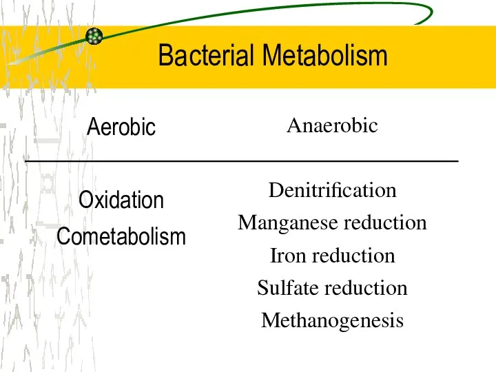 Aerobic Oxidation Cometabolism Anaerobic Denitrification Manganese reduction Iron reduction Sulfate reduction Methanogenesis Bacterial Metabolism