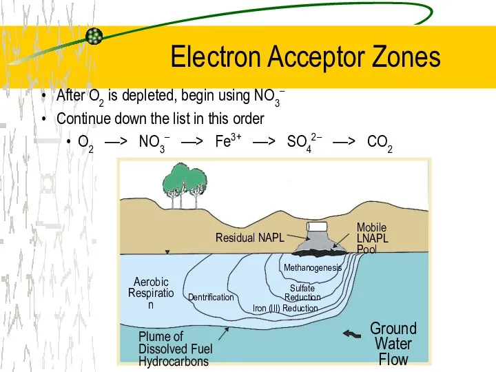 Electron Acceptor Zones After O2 is depleted, begin using NO3– Continue