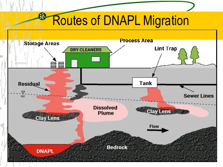 Routes of DNAPL Migration