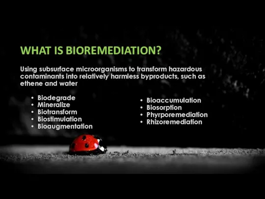 WHAT IS BIOREMEDIATION? Using subsurface microorganisms to transform hazardous contaminants into