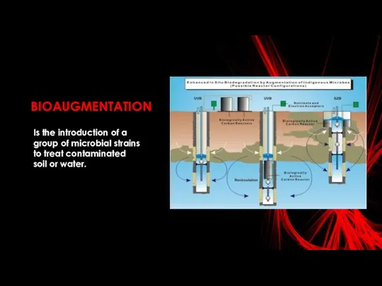 BIOAUGMENTATION Is the introduction of a group of microbial strains to treat contaminated soil or water.