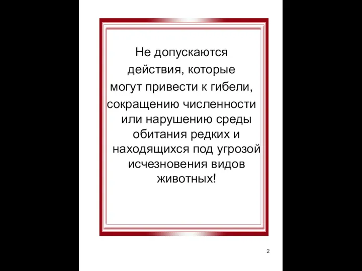 Не допускаются действия, которые могут привести к гибели, сокращению численности или