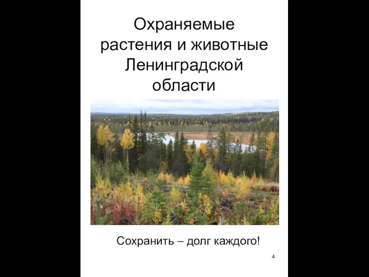 Охраняемые растения и животные Ленинградской области Сохранить – долг каждого!