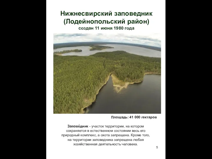 Нижнесвирский заповедник (Лодейнопольский район) создан 11 июня 1980 года Площадь: 41