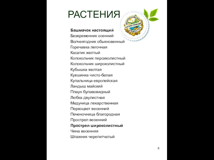 РАСТЕНИЯ Башмачок настоящий Безвременник осенний Волчеягодник обыкновенный Горечавка легочная Касатик желтый