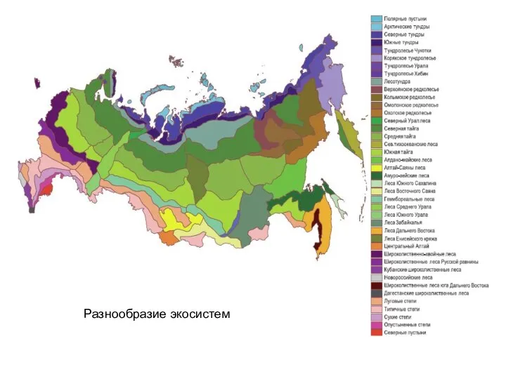 Разнообразие экосистем