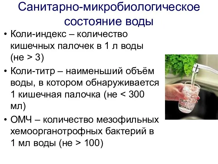 Санитарно-микробиологическое состояние воды Коли-индекс – количество кишечных палочек в 1 л