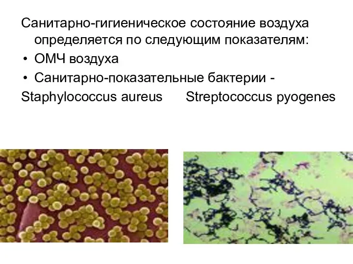 Санитарно-гигиеническое состояние воздуха определяется по следующим показателям: ОМЧ воздуха Санитарно-показательные бактерии - Staphylococcus aureus Streptococcus pyogenes