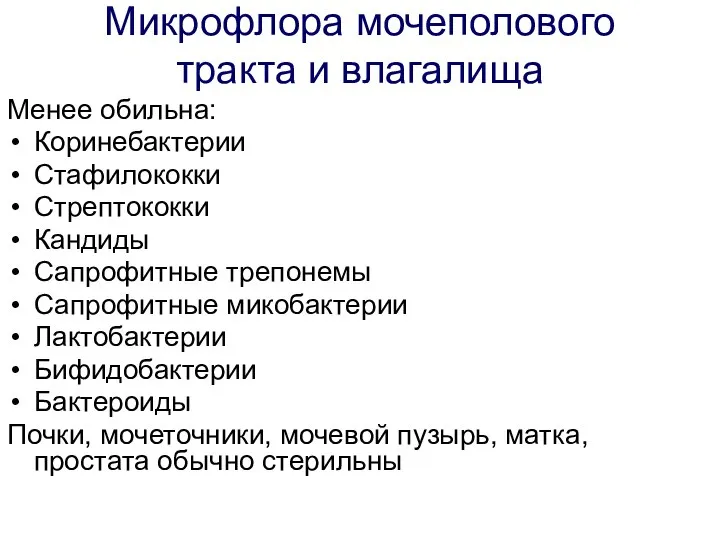 Микрофлора мочеполового тракта и влагалища Менее обильна: Коринебактерии Стафилококки Стрептококки Кандиды