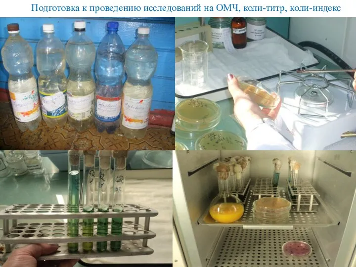 Подготовка к проведению исследований на ОМЧ, коли-титр, коли-индекс