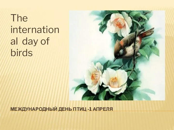 МЕЖДУНАРОДНЫЙ ДЕНЬ ПТИЦ -1 АПРЕЛЯ The international day of birds