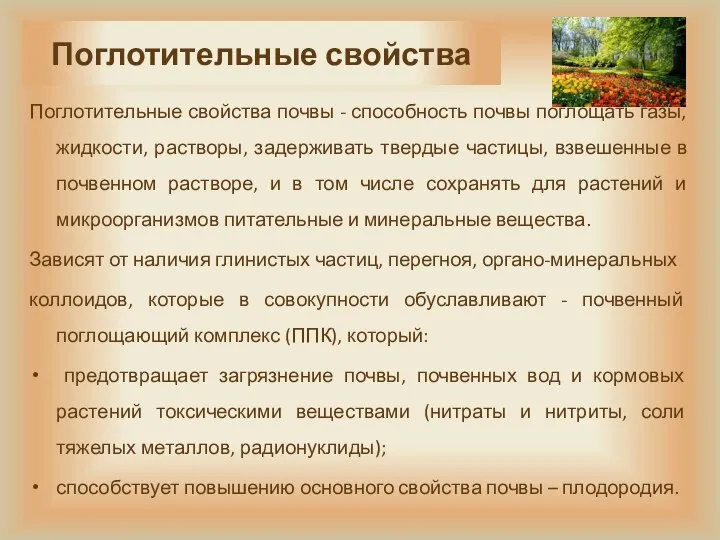 Поглотительные свойства Поглотительные свойства почвы - способность почвы поглощать газы, жидкости,