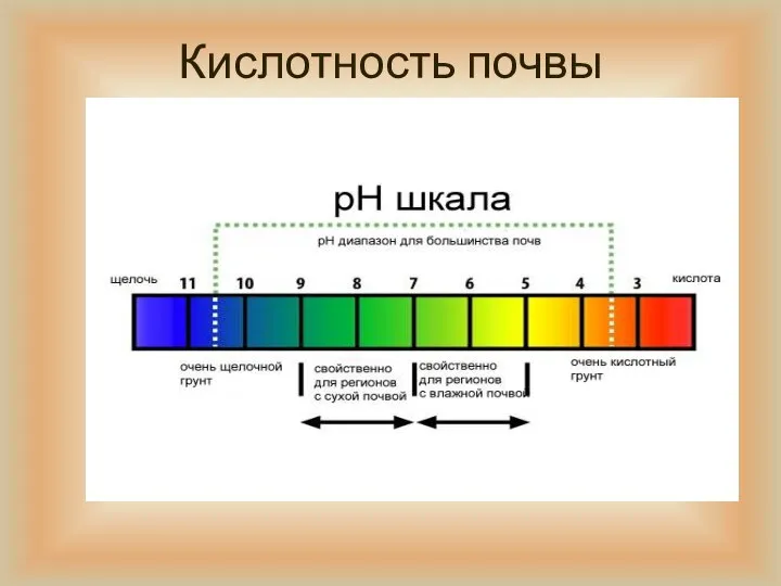 Кислотность почвы