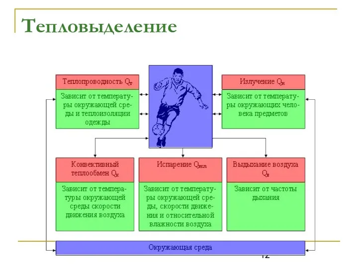 Тепловыделение