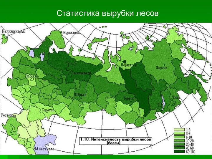 Статистика вырубки лесов