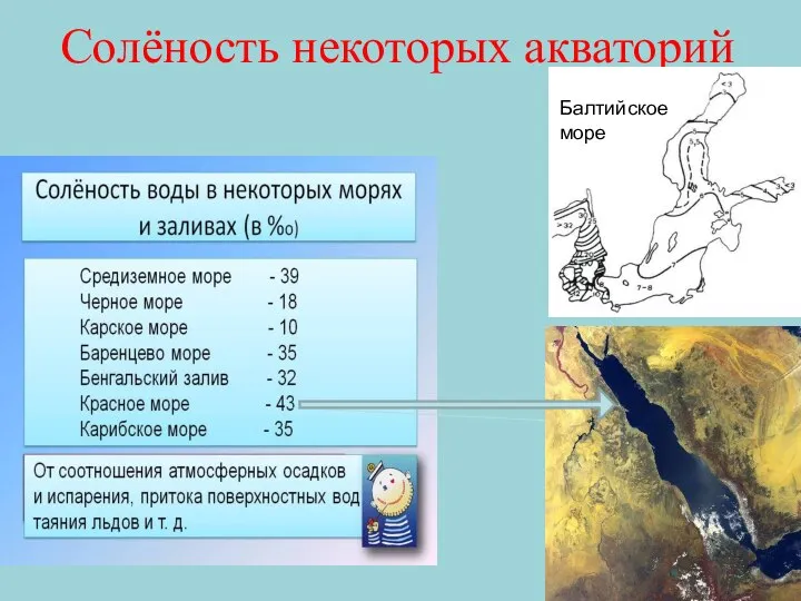 Солёность некоторых акваторий Балтийское море