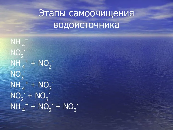 Этапы самоочищения водоисточника NH 4+ NO2- NH 4+ + NO2- NO3-