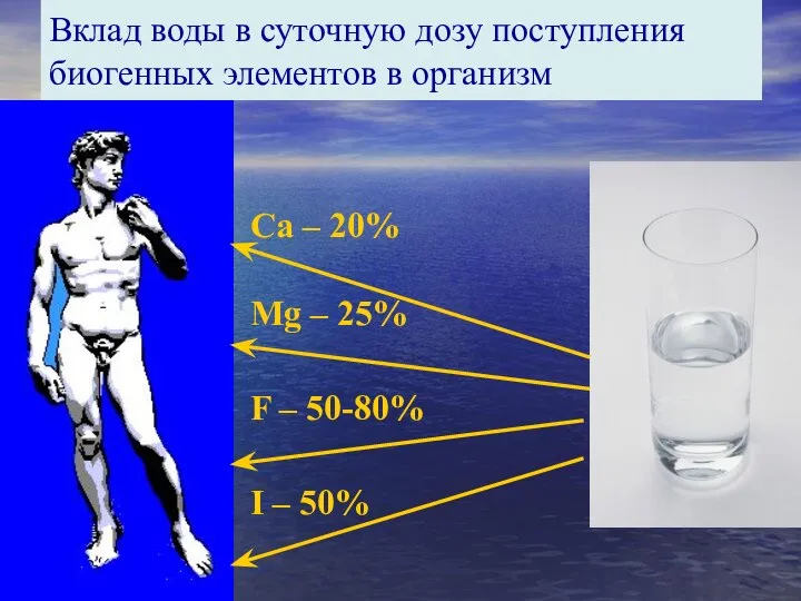 Са – 20% Мg – 25% F – 50-80% I –