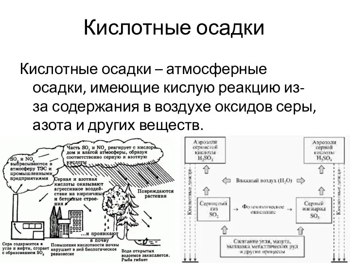 Кислотные осадки Кислотные осадки – атмосферные осадки, имеющие кислую реакцию из-за