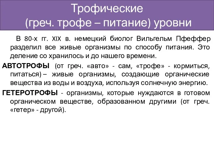 Трофические (греч. трофе – питание) уровни В 80-х гг. XIX в.