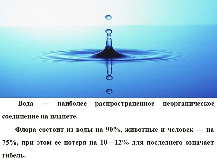 Вода — наиболее распространенное неорганическое соединение на планете. Флора состоит из