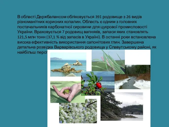 В області Держбалансом обліковується 391 родовище з 26 видів різноманітних корисних