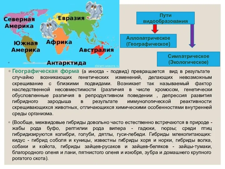 Географическая форма (а иногда - подвид) превращается вид в результате случайно